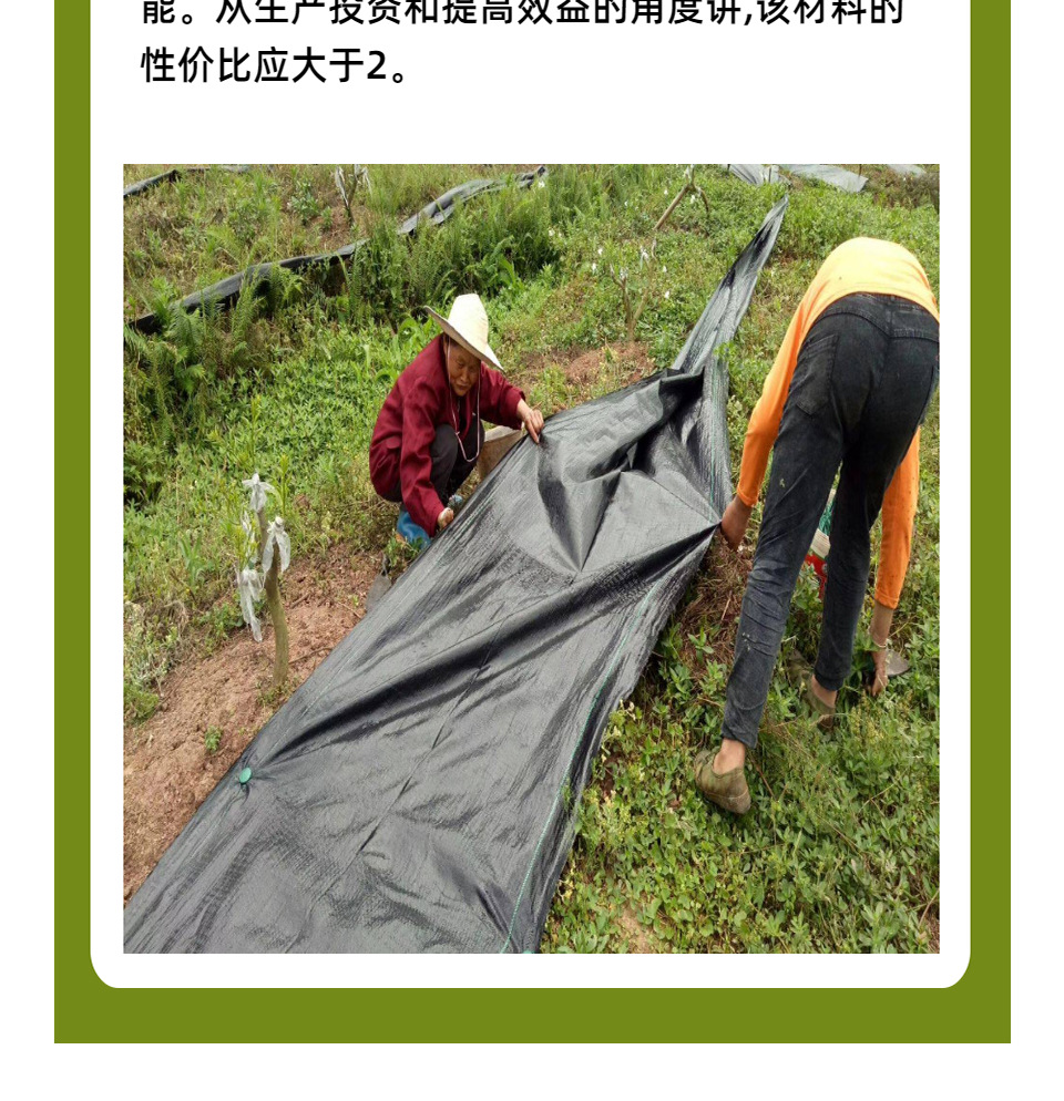 香港宝典免费资料网